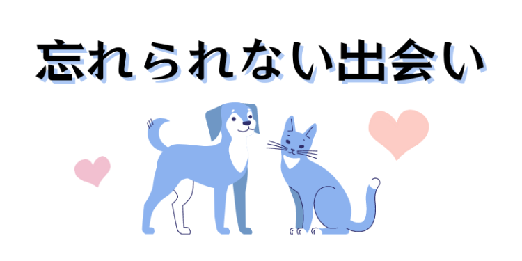 カワイイがいっぱい！ワンダーランド